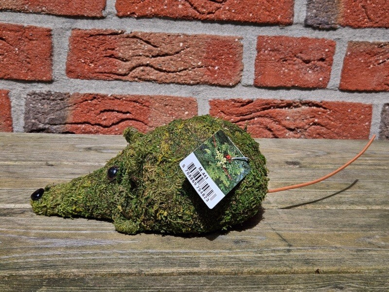 Maus Moos Grün Dekoration Deko