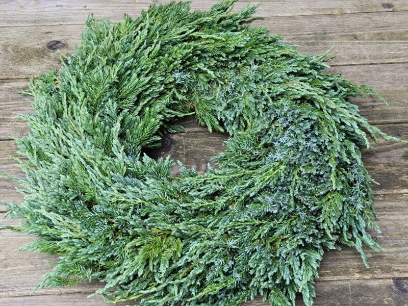 Kranz Wacholder Rohling halbrund Juniperus Adventskranz Frisch 35 cm Dekoration