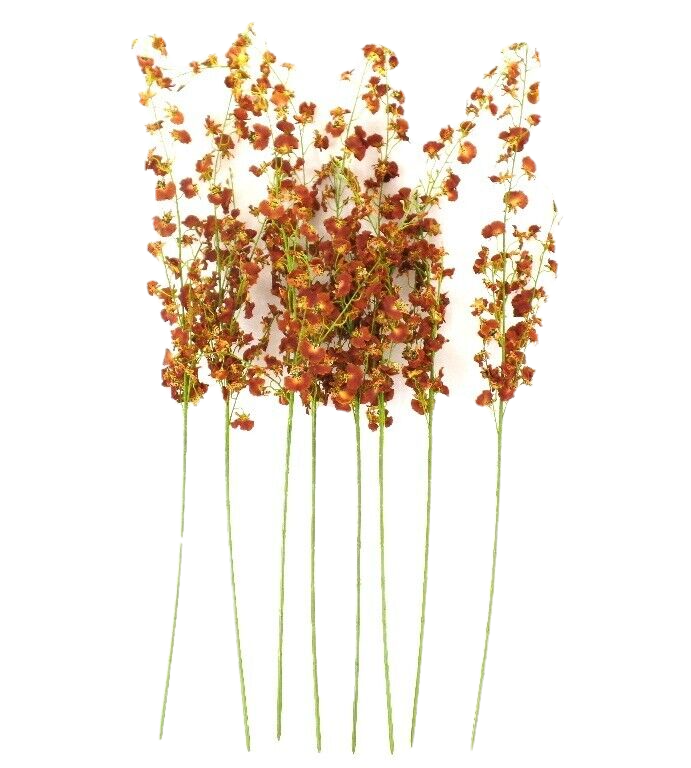 Künstliche Seidenblumen 1 Karton mit 12 Rostbraunen Orchideen 100 cm Dekoration