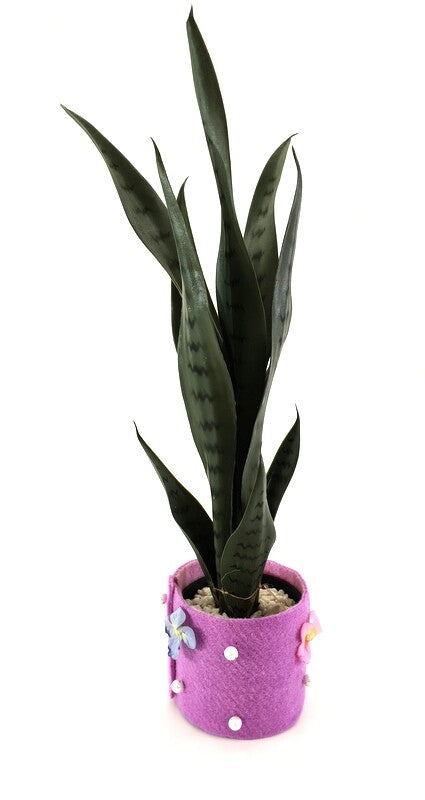 Künstliche Pflanzen Sansevieria Bogenhanf Poliana Getopft 50 cm Zimmerpflanze