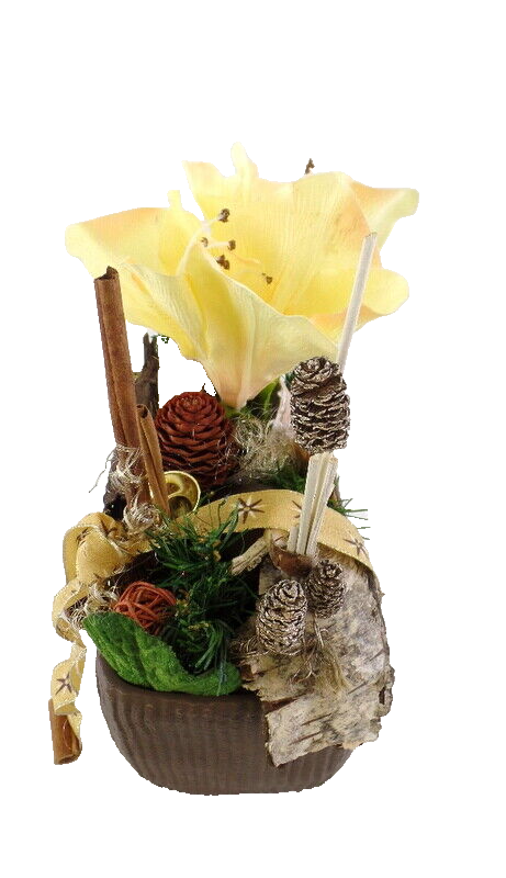 Casa-Poador Weihnachtsgesteck Amaryllis Creme Braun Natur künstliche Tanne Deko