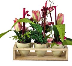 Casa-Poador Künstliches Gesteck  Kunstblume in Holzkästchen Blume  Geschenk