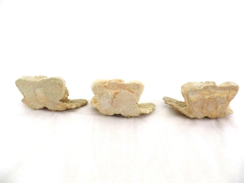 3 Engel Engelfigur Köpfe Terrakotta 13 x 8 x 6 cm Weihnachten Dekoration Naturma