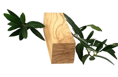 Olivenholz Schnitzholz Rohling Massivholz 40x40x140 mm 2 Stück Carving Kantel