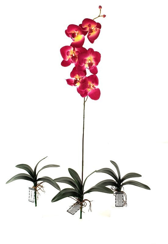 Orchideenblätter Basis wie echt 3 Paar künstlich Luftwurzeln &  1 Orchideenstiel