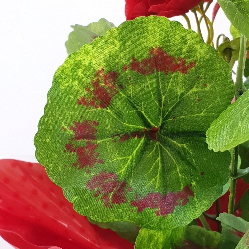Künstliche Geranie rot Pelagonium im Topf Top Kunstblumen Blume Geschenk