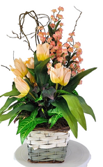 Casa-Poador Kunstblumengesteck im Korb Lachs Apricot Tulpen Rosen Deko Geschenk