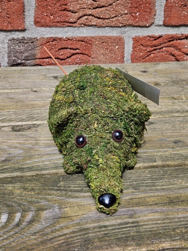 Maus Moos Grün Dekoration Deko