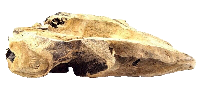 Teak Holz Schale Massivholz XXL 60 cm Dekoschale rund Massiv rustikal Natur Dijk