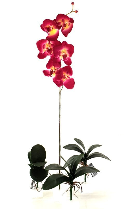 Orchideenblätter Basis wie echt 3 Paar künstlich Luftwurzeln &  1 Orchideenstiel