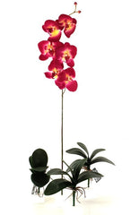 Orchideenblätter Basis wie echt 3 Paar künstlich Luftwurzeln &  1 Orchideenstiel