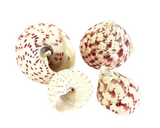 MUSCHELN MEERESMUSCHELN 500 g Trochus stellatus Rosa Meeresschnecke Maritim Deko