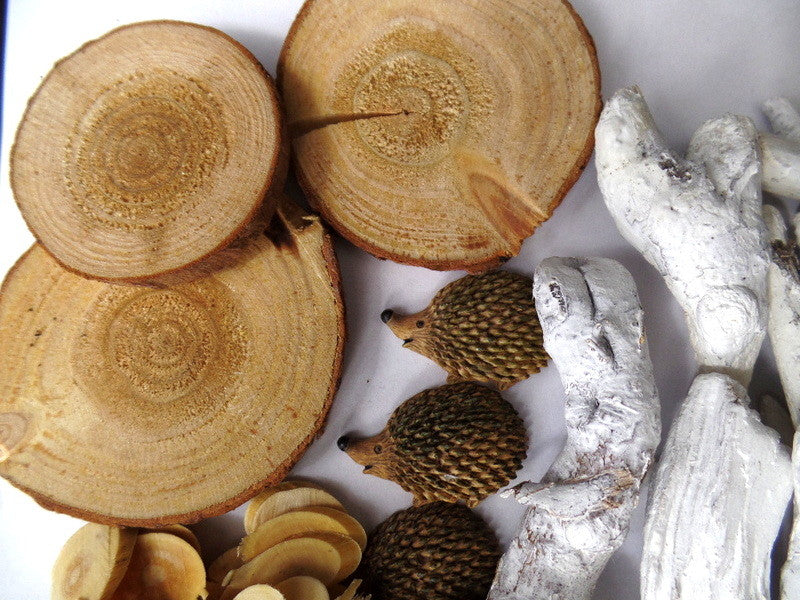 Natur Deko Sortiment Mix 250 g Zapfen Baum / Holzscheiben Äste Bambusringe Igel