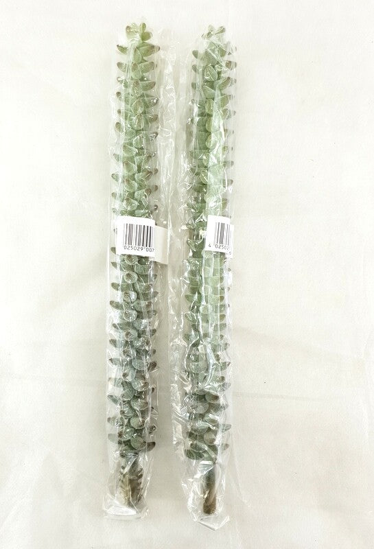 a7d7499d-c601-48e6-a21d-8a7206268324