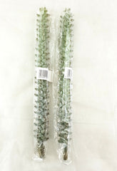 a7d7499d-c601-48e6-a21d-8a7206268324