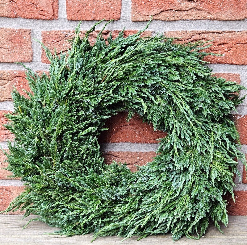 Kranz Wacholder Rohling halbrund Juniperus Adventskranz Frisch 35 cm Dekoration