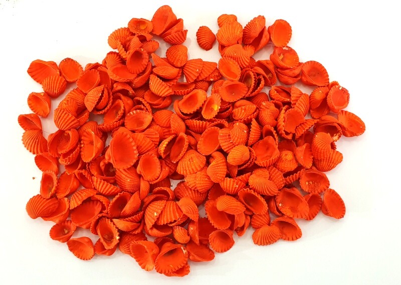 Muscheln Mix bunt gefärbt Orange Grün 1200 g in Box Shell maritime Dekoration
