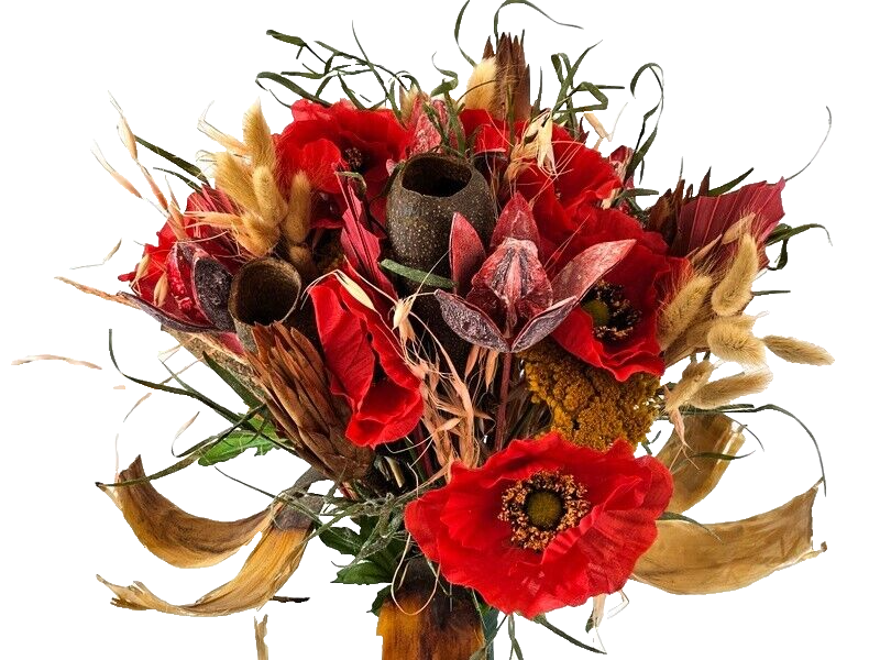 Trockenblumen Exoten Seidenmohn Mix Rot Gelb Naturmaterial gefärbt  Dekoration