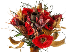 Trockenblumen Exoten Seidenmohn Mix Rot Gelb Naturmaterial gefärbt  Dekoration