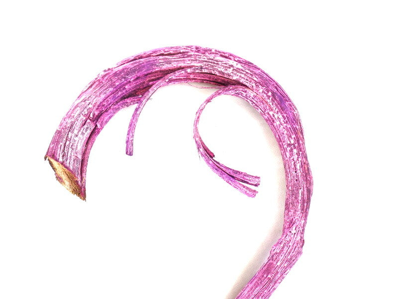 Hirtenstab 5 Stück Banana Stick Brombeer Frosted ca. 60 cm Lang Dekoration