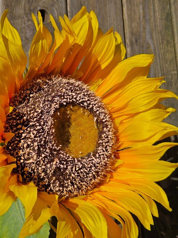 Kunstblume künstliche Sonnenblume gelb 108 L x 23 cm Band Filzkürbisse Deko