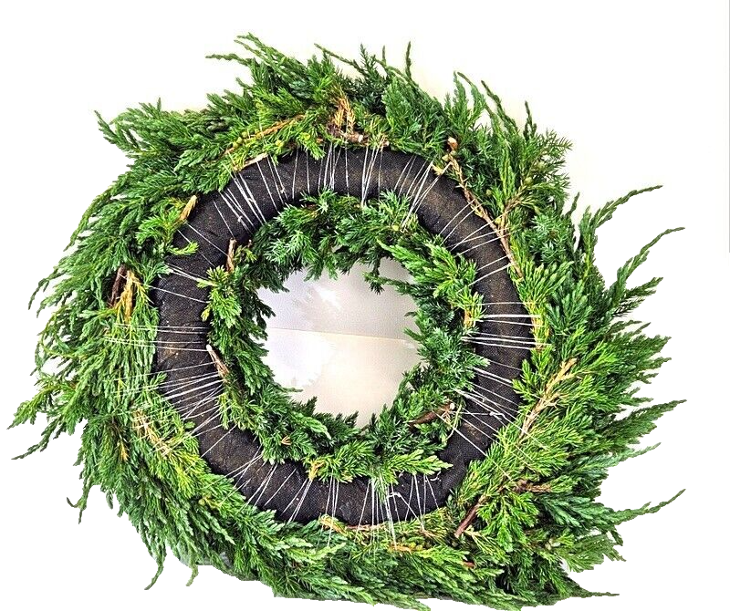 Kranz Wacholder Rohling halbrund Juniperus Adventskranz Frisch 35 cm Dekoration
