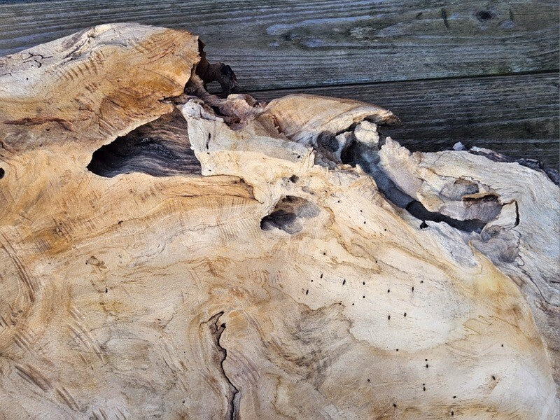 Teak Holz Schale Massivholz XXL 60 cm Dekoschale rund Massiv rustikal Natur Dijk