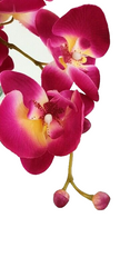 Casa-Poador Gesteck Orchidee Phalenopsis Kunstblumen Glas künstlich Geschenk