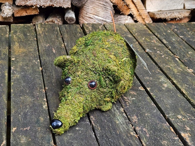 Maus Moos Grün Dekoration Deko