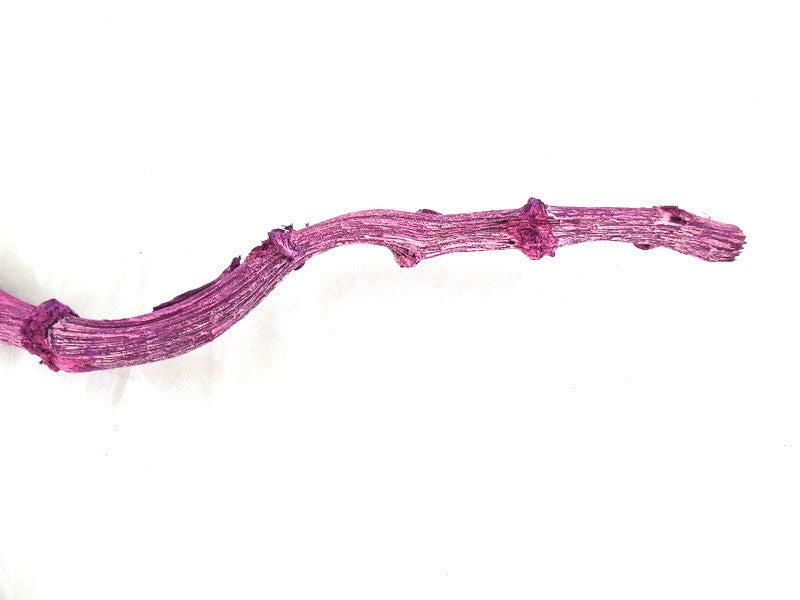 Hirtenstab 5 Stück Banana Stick Brombeer Frosted ca. 60 cm Lang Dekoration