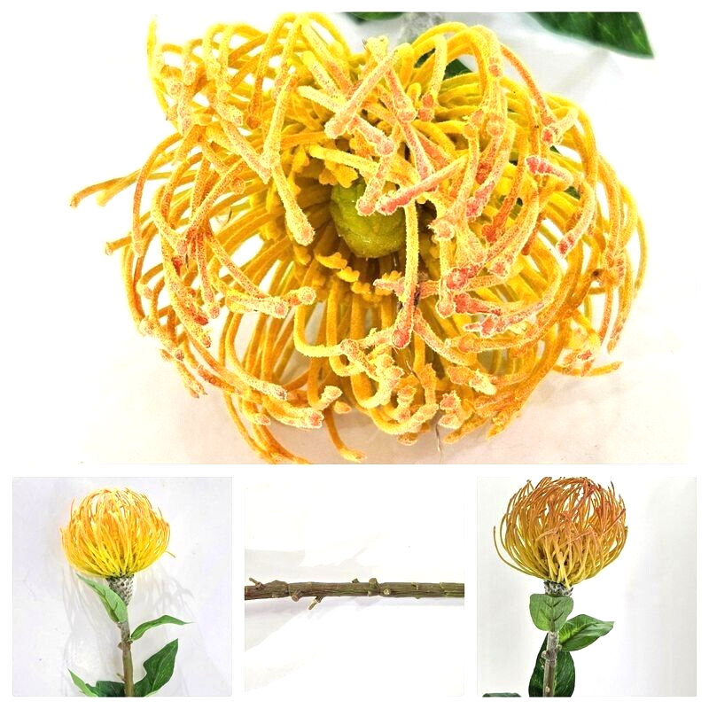 Kunstblume künstliches Nadelkissen  orange 70 L x 10 cm Einzelblume Dekoration