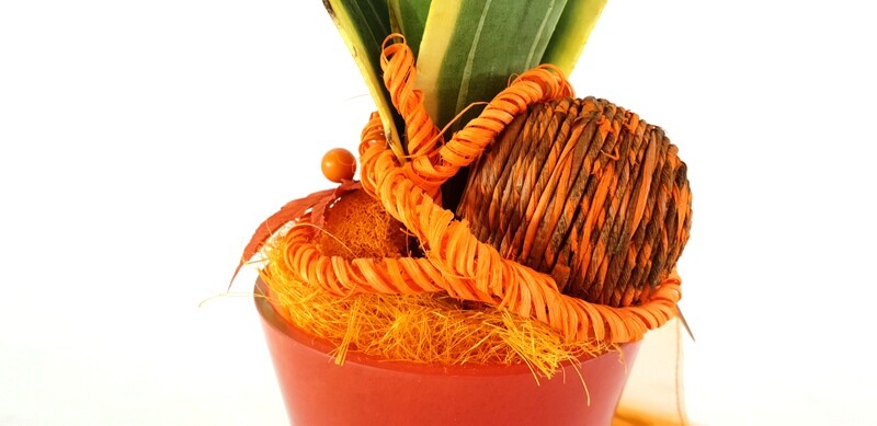 Gesteck Kunstblumen Topf rund Orange Sanseverie Topfblume künstlich Geschenk