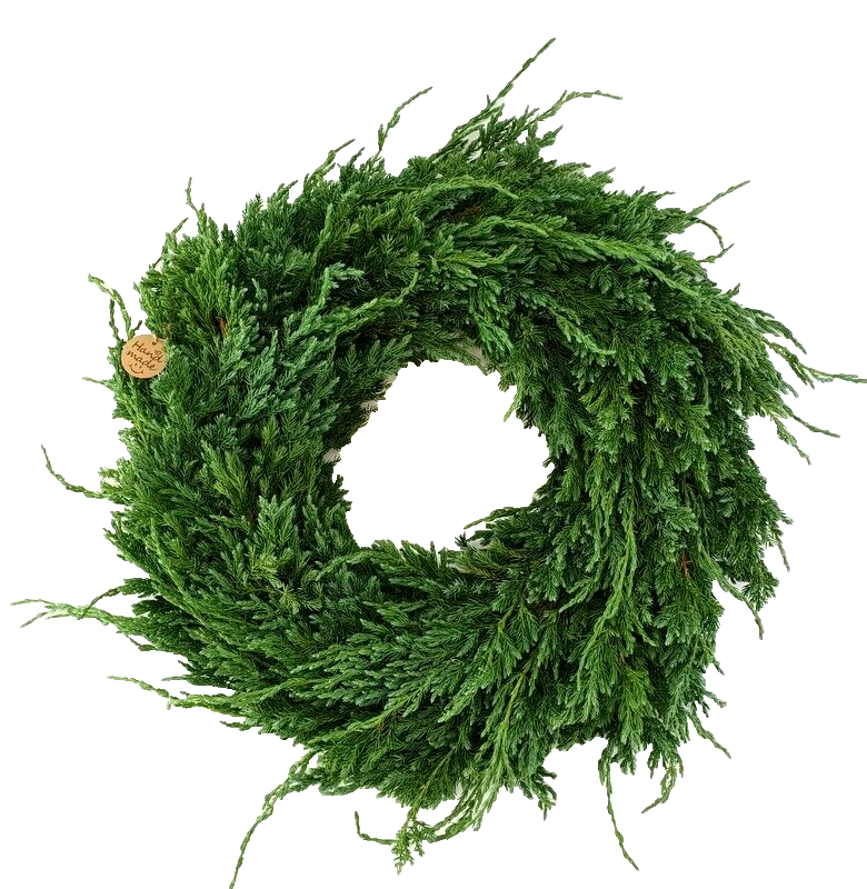 Kranz Wacholder Rohling halbrund Juniperus Adventskranz Frisch 35 cm Dekoration