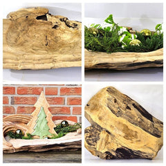 Teak Holz Schale Massivholz XXL 60 cm Dekoschale rund Massiv rustikal Natur Dijk