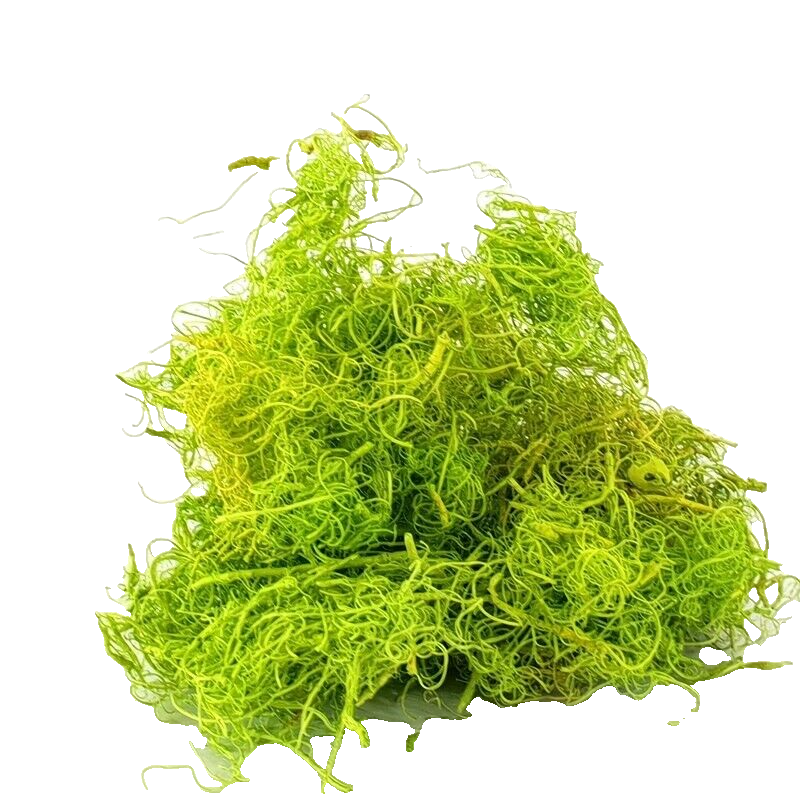 Curly Moos Grün Apfelgrün 200 g Curlymoos Moos Deko Moos Basteln Dijk