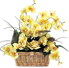 Casa-Poador Orchideen Gesteck Kunstblumen Phalaenopsis Gelb 50H Korb Dekoration