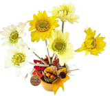 CASA - POADOR TOPFBLUME Kunstblumen Keramikgefäß Figur Blätter Geschenk