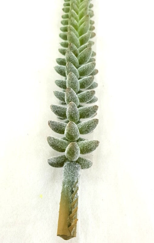 f443ad9f-0edf-4ebc-b287-5c2c50e4741c