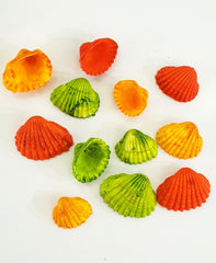 Muscheln Mix bunt gefärbt Orange Grün 1200 g in Box Shell maritime Dekoration