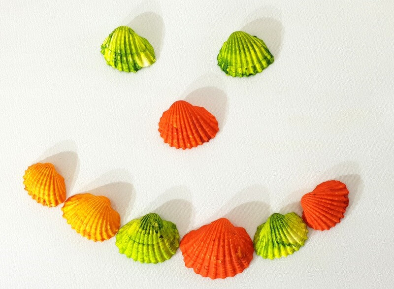 Muscheln Mix bunt gefärbt Orange Grün 1200 g in Box Shell maritime Dekoration