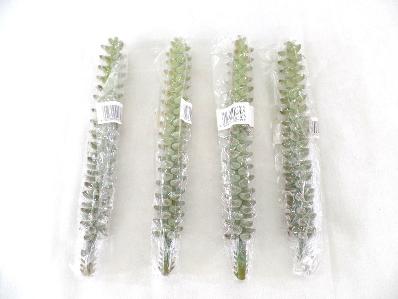 Kunstblumen Sedum Picks 4 Stück grün grau 24 cm Lang Seide Gestecke Dekoration