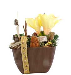 Casa-Poador Weihnachtsgesteck Amaryllis Creme Braun Natur künstliche Tanne Deko