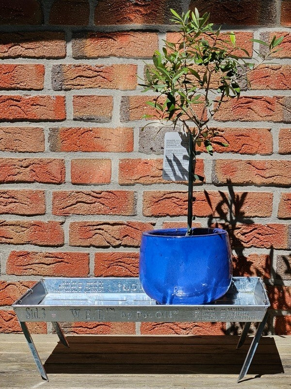 Tablett Tisch Serviertisch Beistelltisch verzinkter Stahl Sofatisch Outdoor Deko