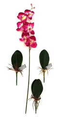 Orchideenblätter Basis wie echt 3 Paar künstlich Luftwurzeln &  1 Orchideenstiel