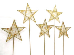 Blumenstecker Sternmotive 5 Stück Mix Metall 3 Orange 2 Creme 48 cm Stab Weihn.