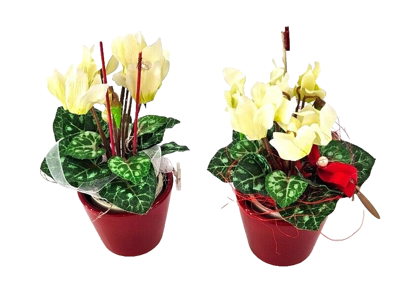 Topfblumen Alpenveilchen künstlich 2 Stück Weiß Rot Kunstblumen 20 cm Hoch