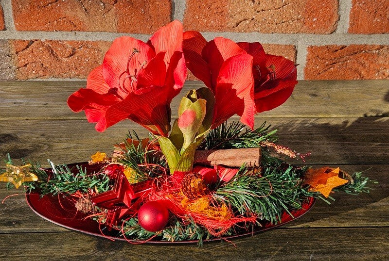 Casa-Poador Weihnachtsgesteck rot Orange Amaryllis Sterne künstliche Tanne Deko