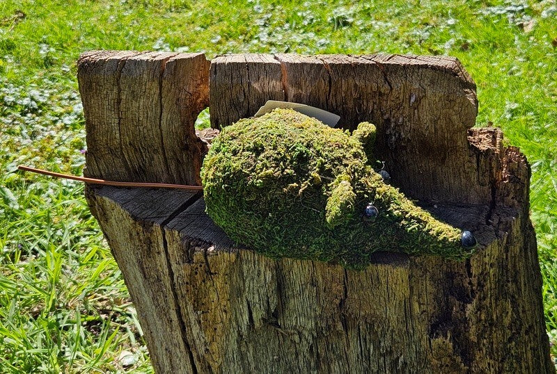 Maus Moos Grün Dekoration Deko