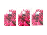 FLEUROP 3 - er Set Karten Pinke Gerbera Edition Gruß- Glückwunschkarten Blumen