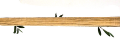 Olivenholz Schnitzholz Rohling Massivholz 40x40x620 mm 1 Stück Carving Kantel